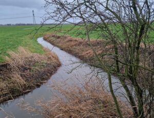 Prijsuitreiking 'Mooi Den Horn'